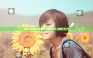 星星影院在线观看免费版电视剧精彩推荐与观看指南分享
