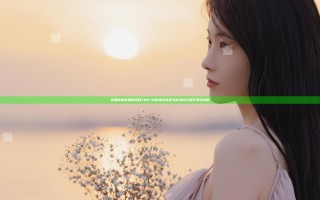 全面解析成品网源码78W78的独特特点与优势设计提升网站功能