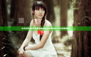 小马宝莉第9季免费观看完整版高清资源分享与观看指南
