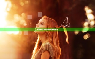 无翼乌之另存在感消失的帽子