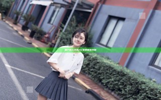 国产成人无码AV免费看国外版