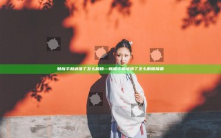 魅族手机被锁了怎么解锁—魅族手机被锁了怎么解锁屏幕