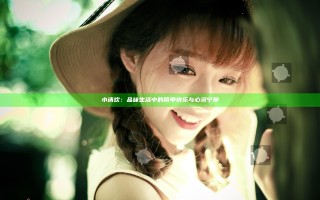 小清欢：品味生活中的简单快乐与心灵宁静