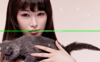 打造完美JAPANESE厨房乱TUB偷技巧，轻松提升日本料理美味享受