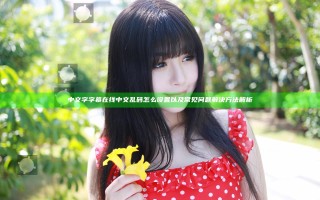 中文字字幕在线中文乱码怎么设置以及常见问题解决方法解析