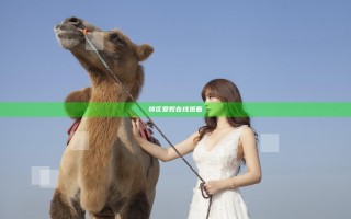 特区爱奴在线观看