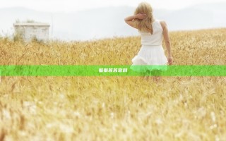 羞羞答答官网