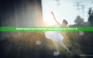 只狼孤影众枪足之正长打法技巧是什么 孤影众枪足之正长打法技巧分享