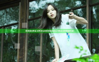 死或生6停止工作怎么办 死或生6Win7停止工作解决方法