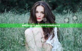 利用CHAT GPT提升工作效率与创意的方法大全
