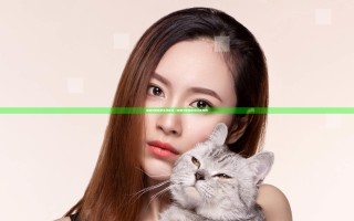 辐射4哪些是主线任务—辐射4哪些是主线任务的