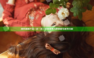 提升国精产品一区一区三区有竞争力的策略与优势分析
