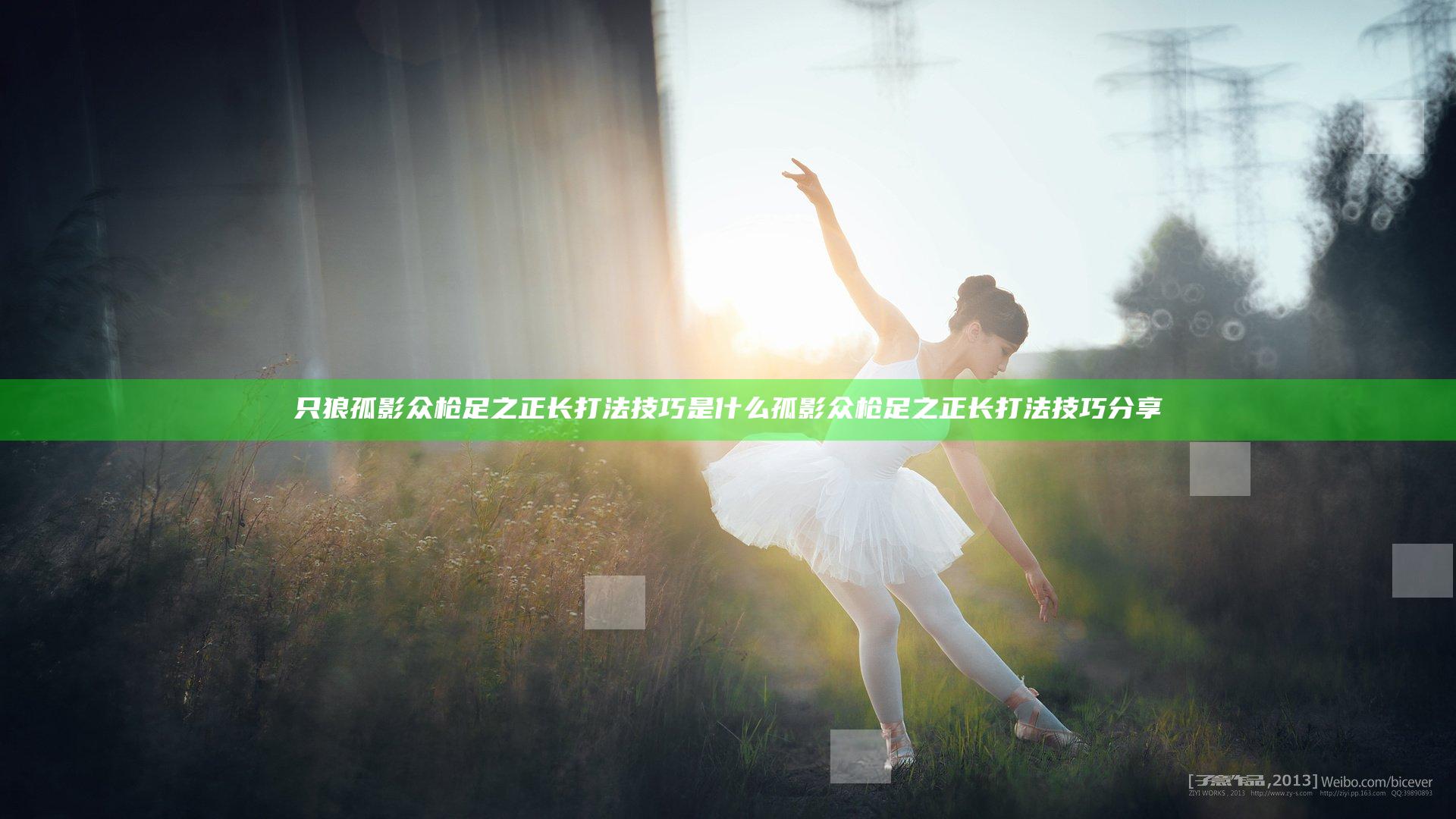 只狼孤影众枪足之正长打法技巧是什么 孤影众枪足之正长打法技巧分享