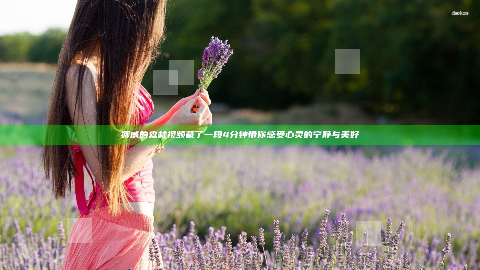 挪威的森林视频截了一段4分钟 带你感受心灵的宁静与美好