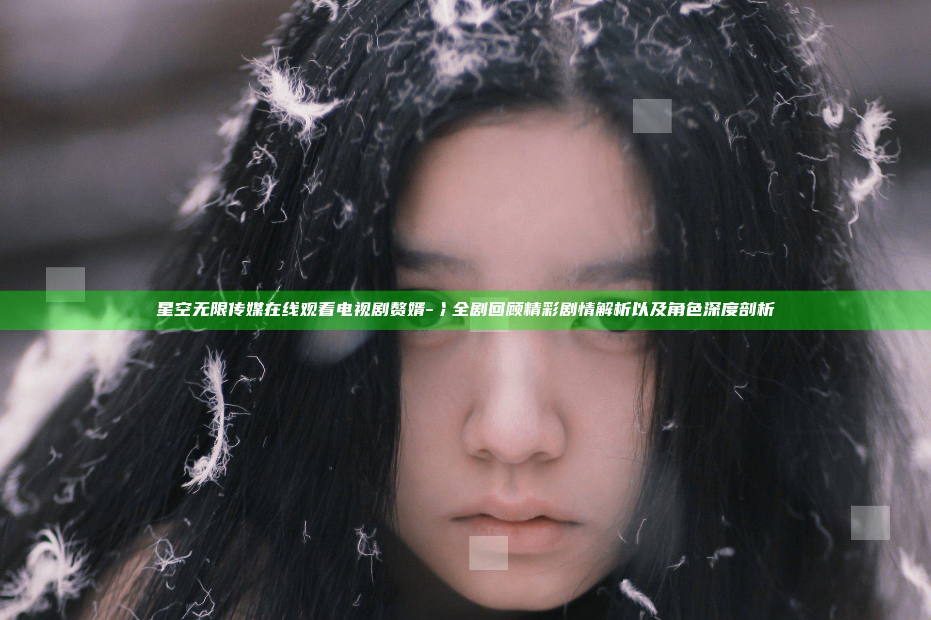 星空无限传媒在线观看电视剧赘婿-冫全剧回顾精彩剧情解析以及角色深度剖析
